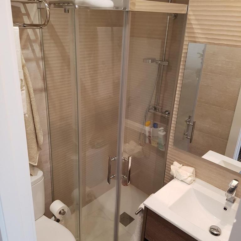 Mejor zona de Sierra Nevada, junto a los remontes, Pza Andalucia, D202 - Apartamento de 3 dormitorios - 16
