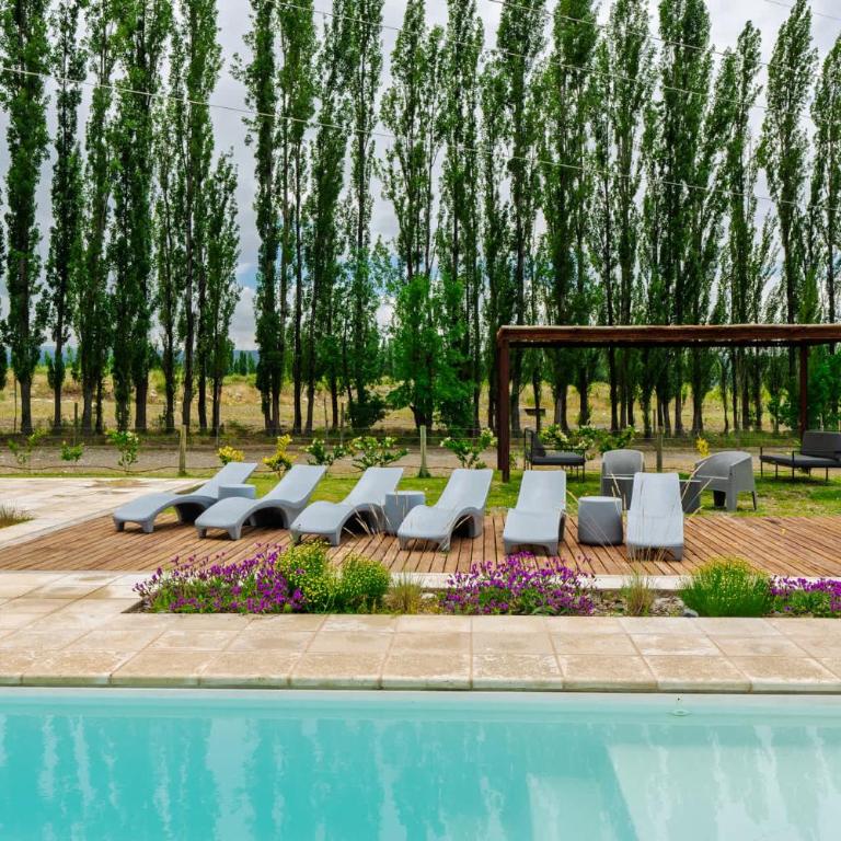 MOT Wine Country 3 Bd Villa Tupungato - Villa - 4