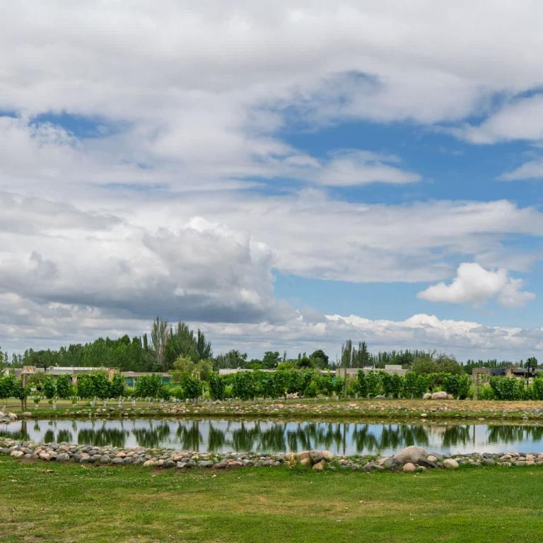 MOT Wine Country 3 Bd Villa Tupungato - Villa - 48