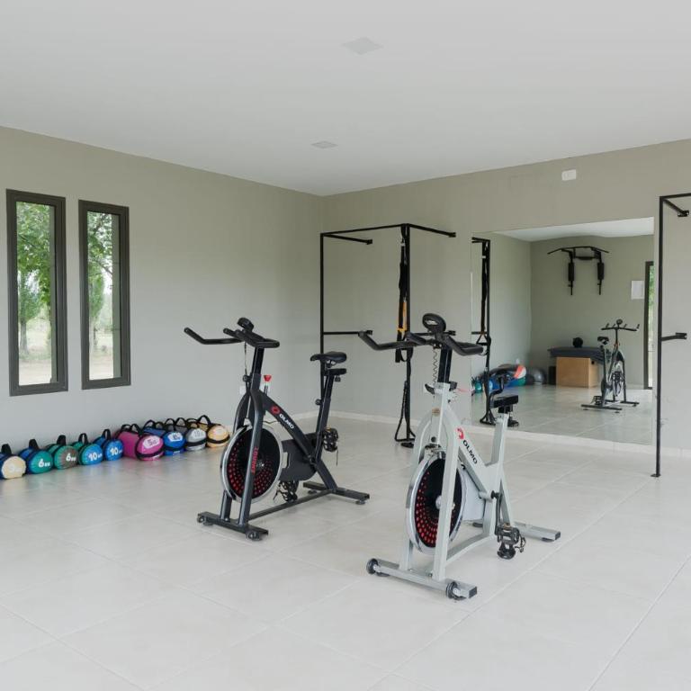 MOT Wine Country 3 Bd Villa Tupungato - Villa - 53