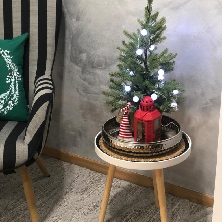 Danijela & konak - Apartman sa 1 Spavaćom Sobom - 15