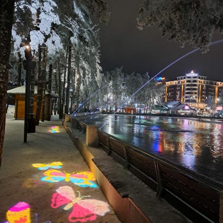 Danijela & konak - Apartman sa 1 Spavaćom Sobom - 21