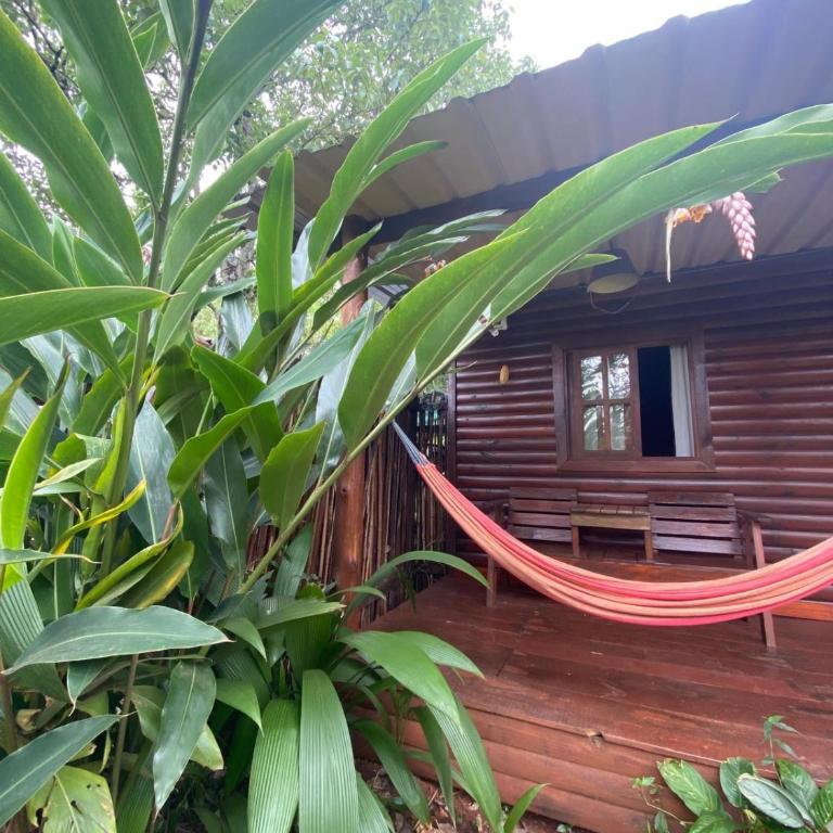 Los Bananos - Big Wood Cabin - Casa de 2 dormitorios - 10