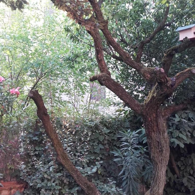 Appartamento Giardino Verde - Appartamento - Piano Terra - 22