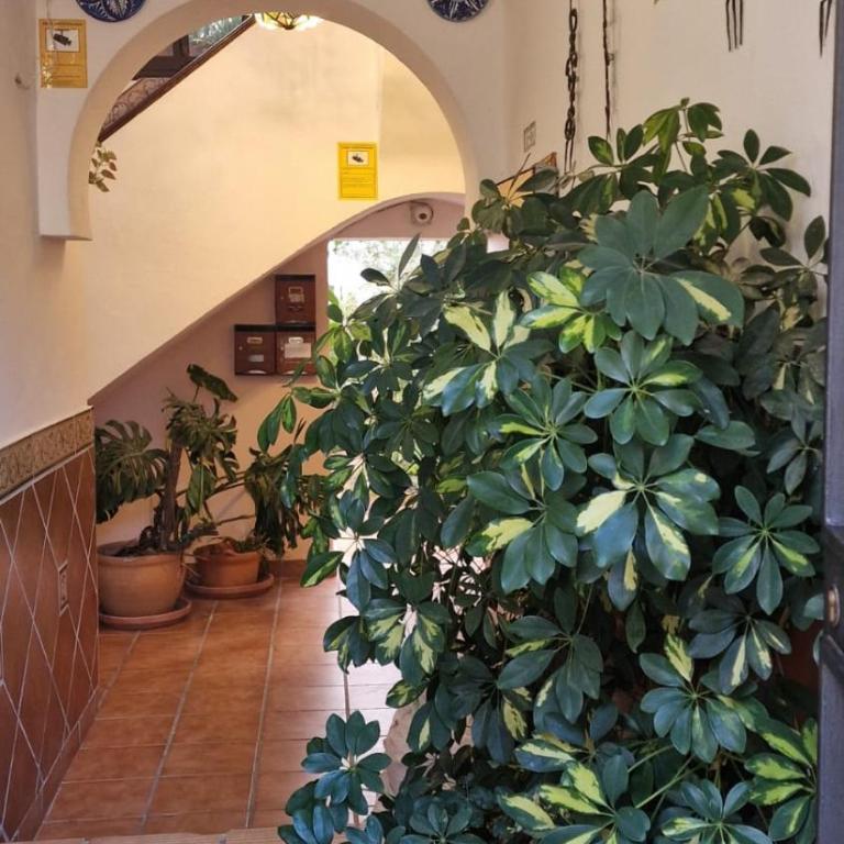 Mirador de Badanas - Apartment mit 1 Schlafzimmer - 40