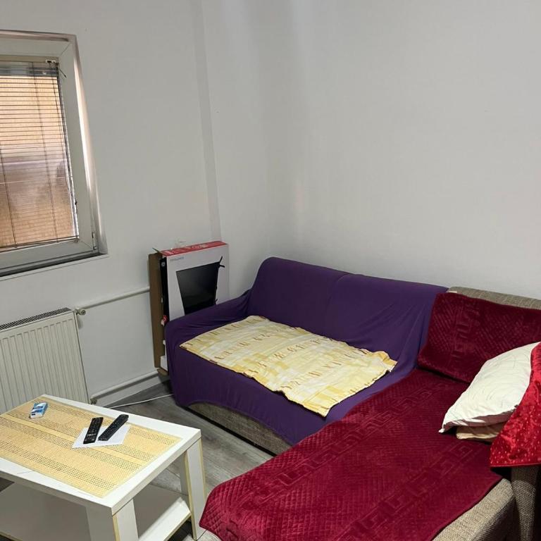 Apartman Jovanović - One-Bedroom Apartment - 2