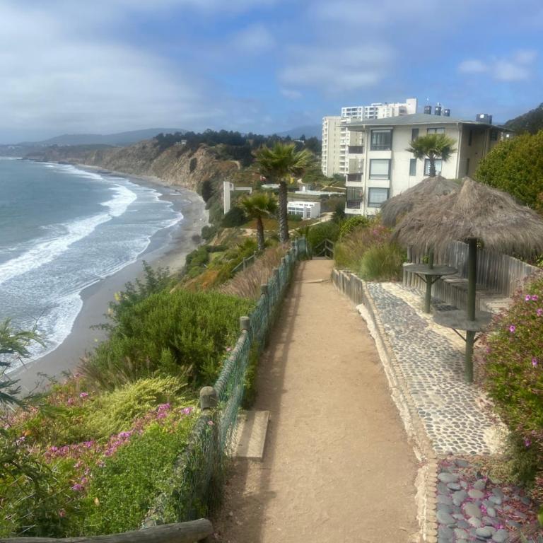 Departamento hermoso con vista al mar - Apartamento de 2 dormitorios - 20