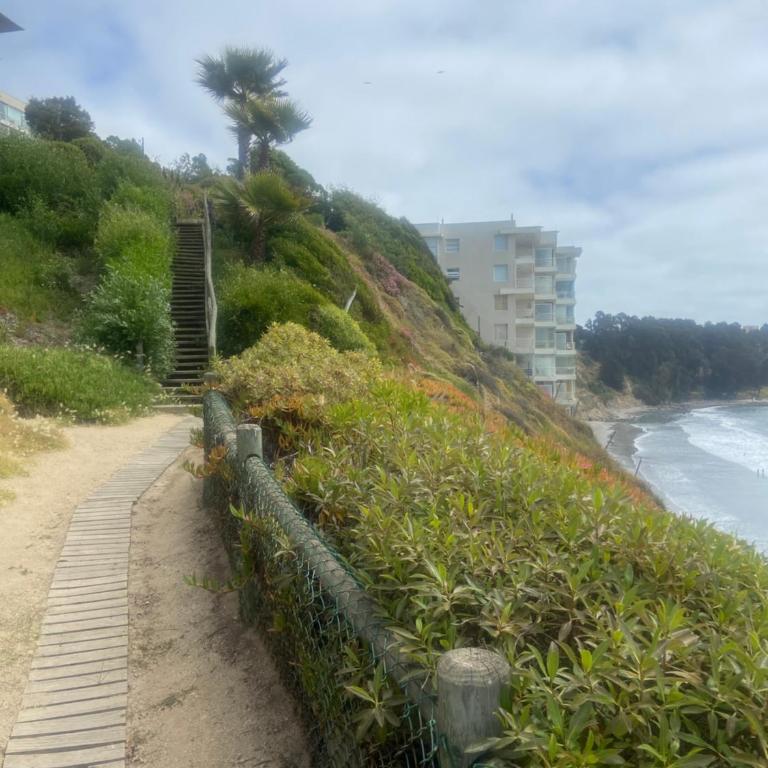 Departamento hermoso con vista al mar - Apartamento de 2 dormitorios - 23