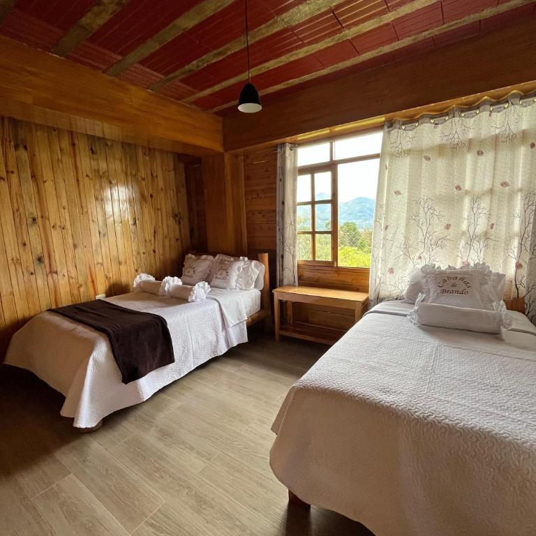Hassinger Haus - Three-Bedroom Apartment - 6