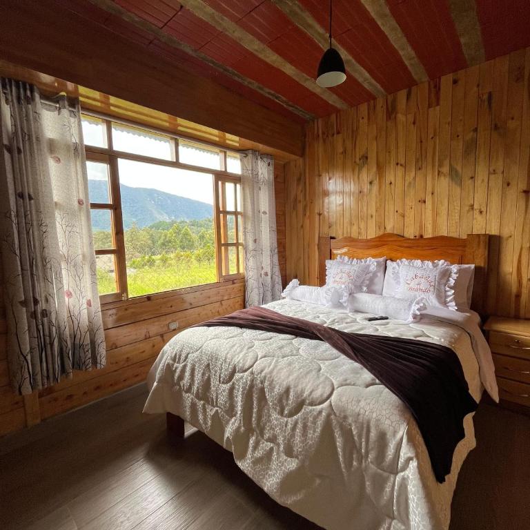 Hassinger Haus - Three-Bedroom Apartment - 1