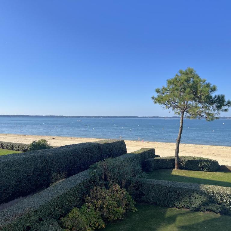 Studio en bord de mer avec accès direct à la plage et parking sécurisé - FR-1-474-288 - Apartment - 3