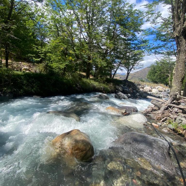 Cabaña Huemul - Apartamento de 1 dormitorio - 4