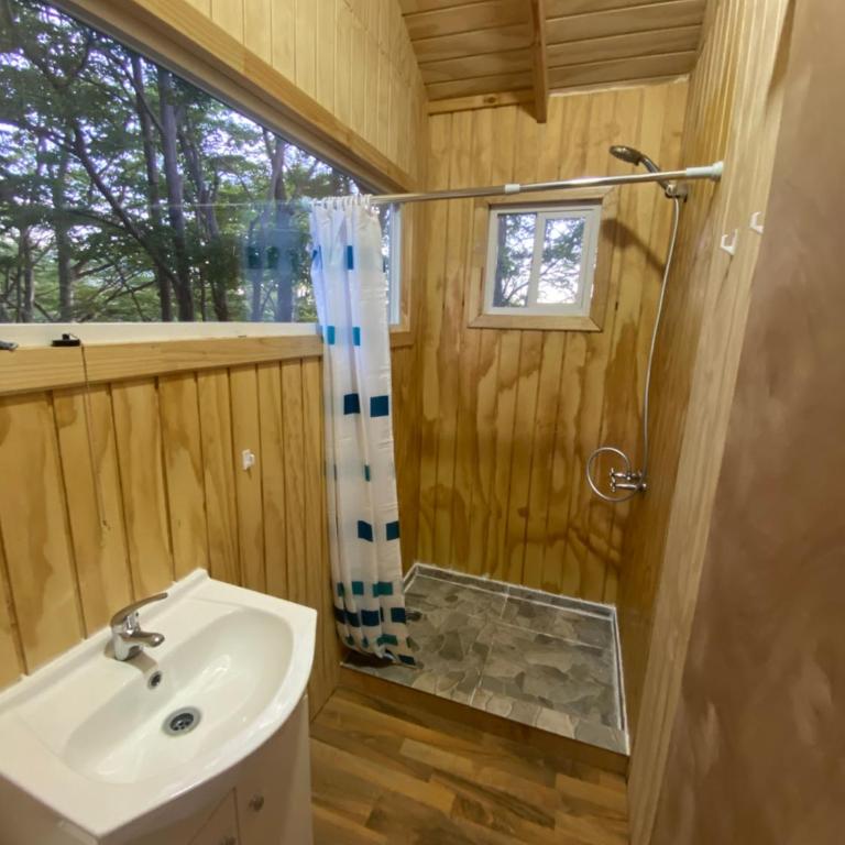 Cabaña Huemul - Apartamento de 1 dormitorio - 17