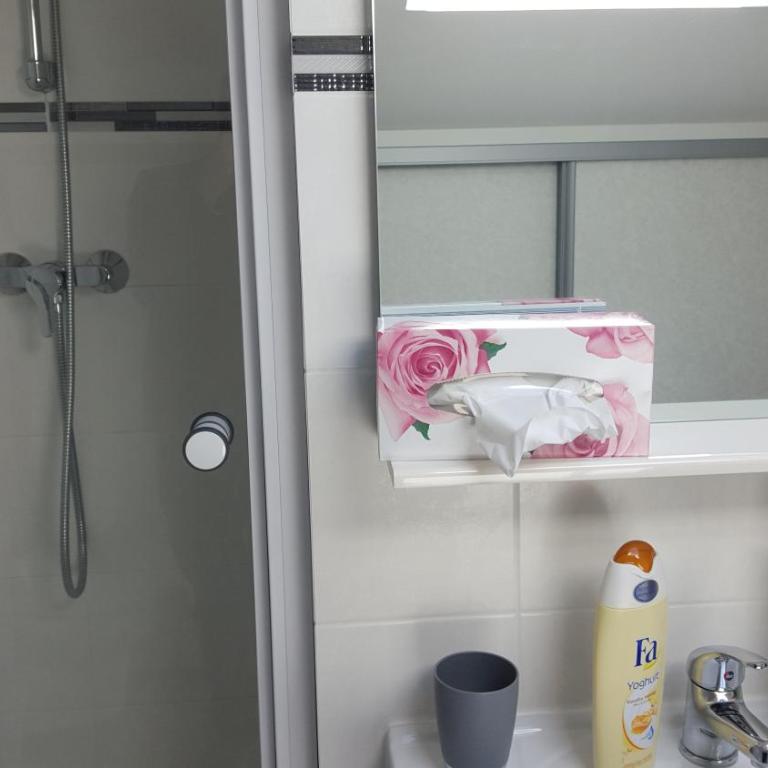 Appartements Au Cros De Cagnes - Appartement Mansardé sans Balcon - 28