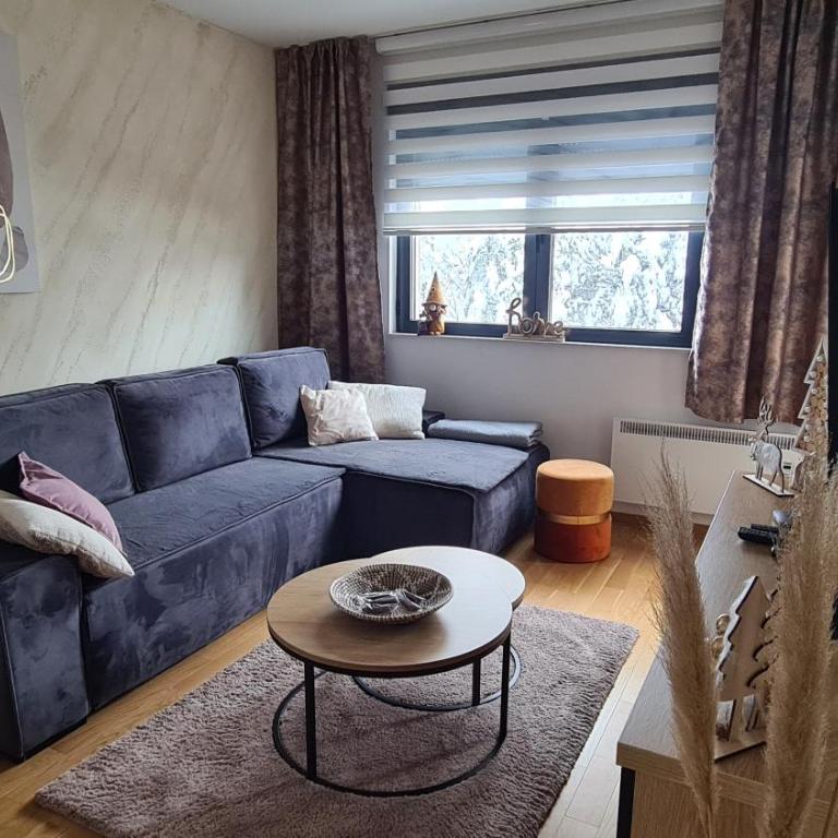 Holiday Residence Zlatibor free garage - One-Bedroom Apartment - 36