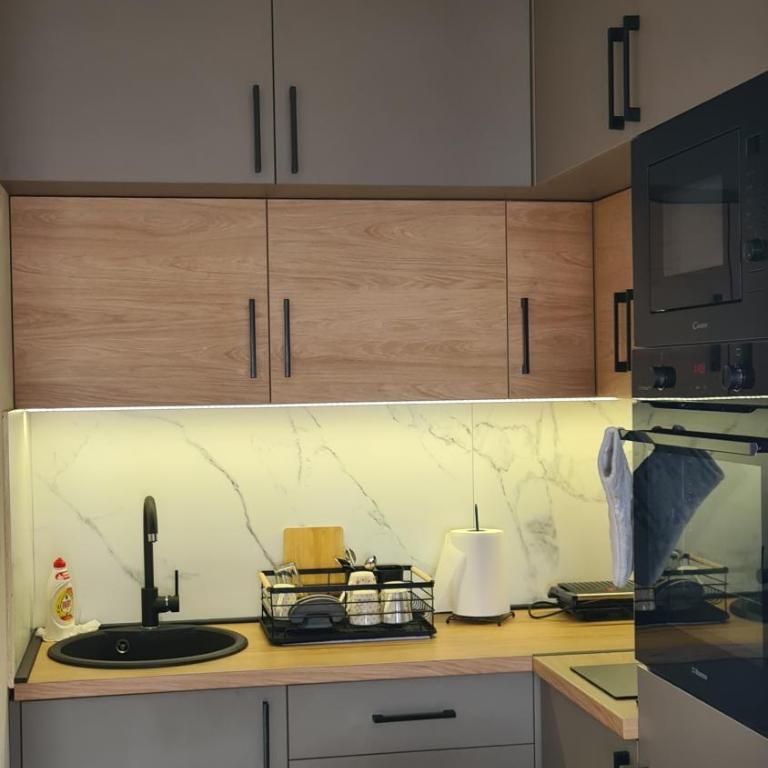 Holiday Residence Zlatibor free garage - One-Bedroom Apartment - 11