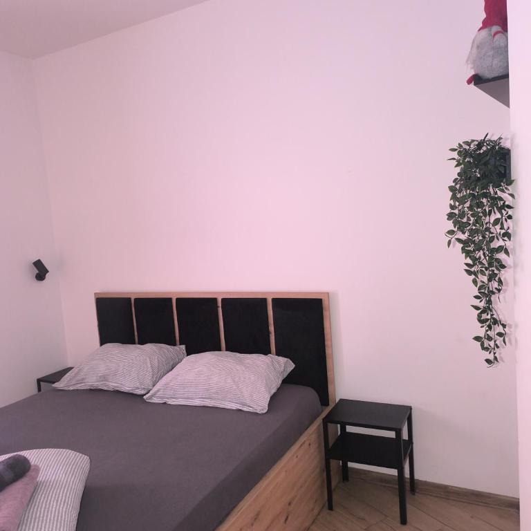 Diamond Dream - Apartman sa 1 Spavaćom Sobom - 4