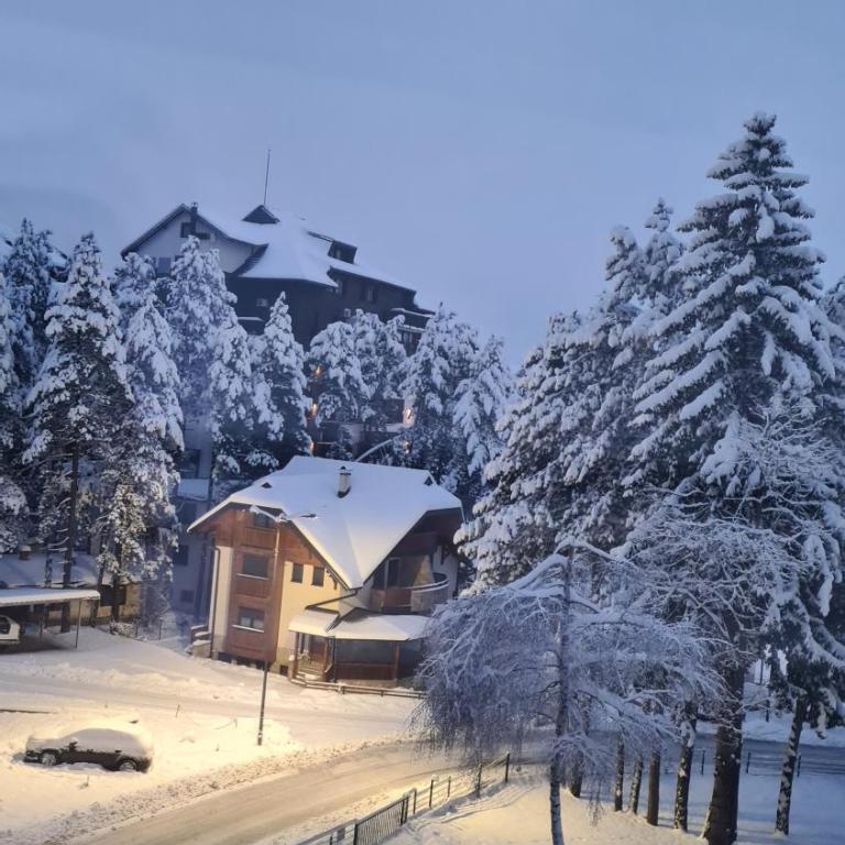 Holiday Residence Zlatibor free garage - One-Bedroom Apartment - 51