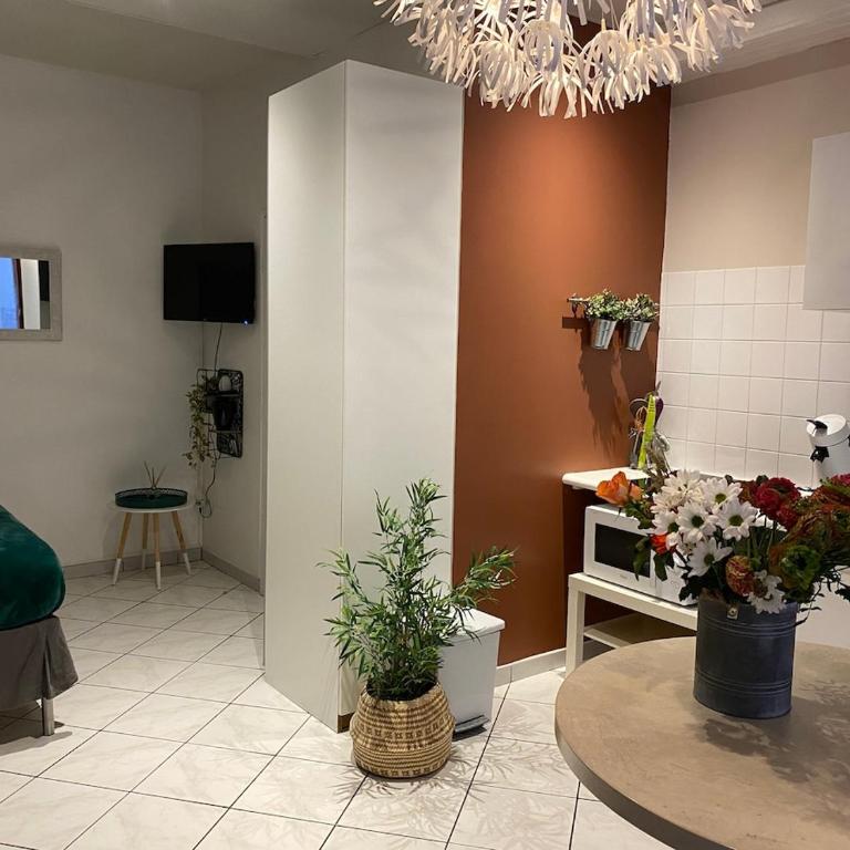 Oasis - City Center - Appartement 1 Chambre - 4