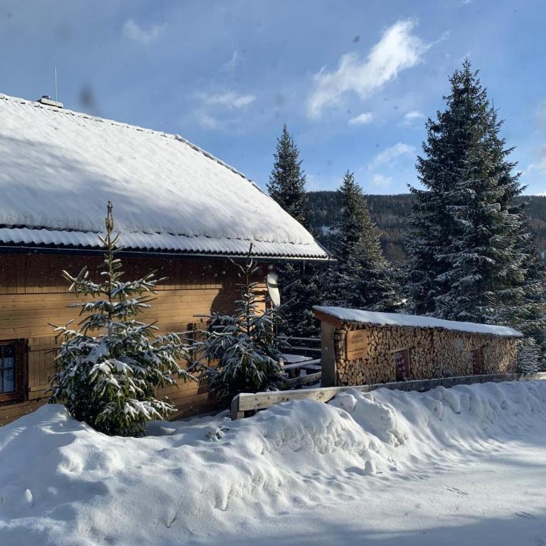 Almhütte-Flattnitz - Chalet mit 2 Schlafzimmern - 37