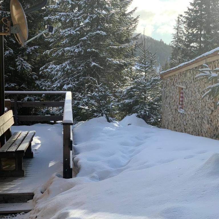 Almhütte-Flattnitz - Chalet mit 2 Schlafzimmern - 14