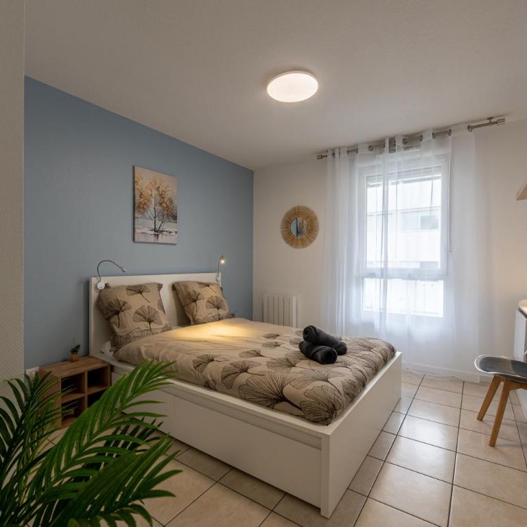 Appartement chaleureux à proximité de Genève - Appartement 2 Chambres - 2