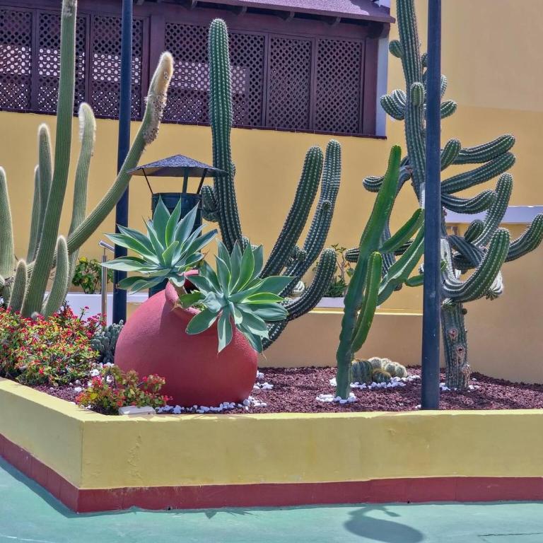 Casa Nonna by HelloApartments - Casa de 4 dormitorios - 45