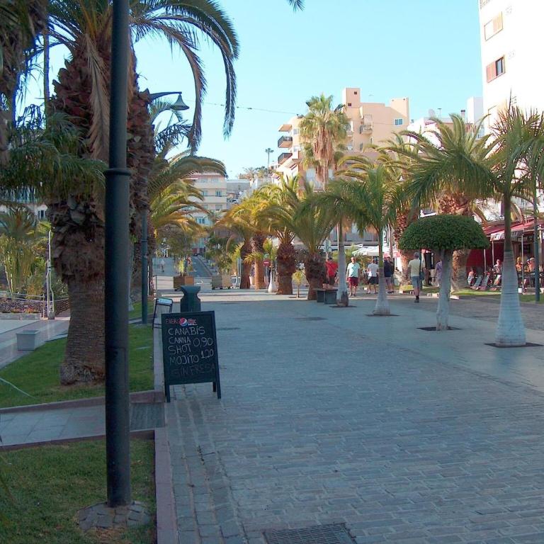 Central & Beach Los Cristianos by HelloApartments - Estudio - 27