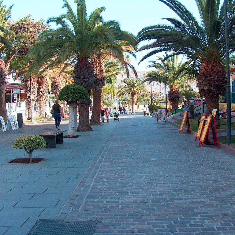 Happy Moments in Los Cristianos by HelloApartments - Apartamento Familiar de 2 dormitorios - 33