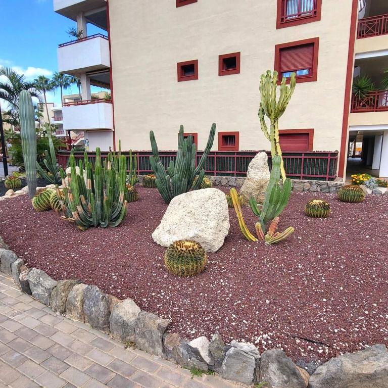 Oasis Palm Mar by HelloApartments - Apartment - 35