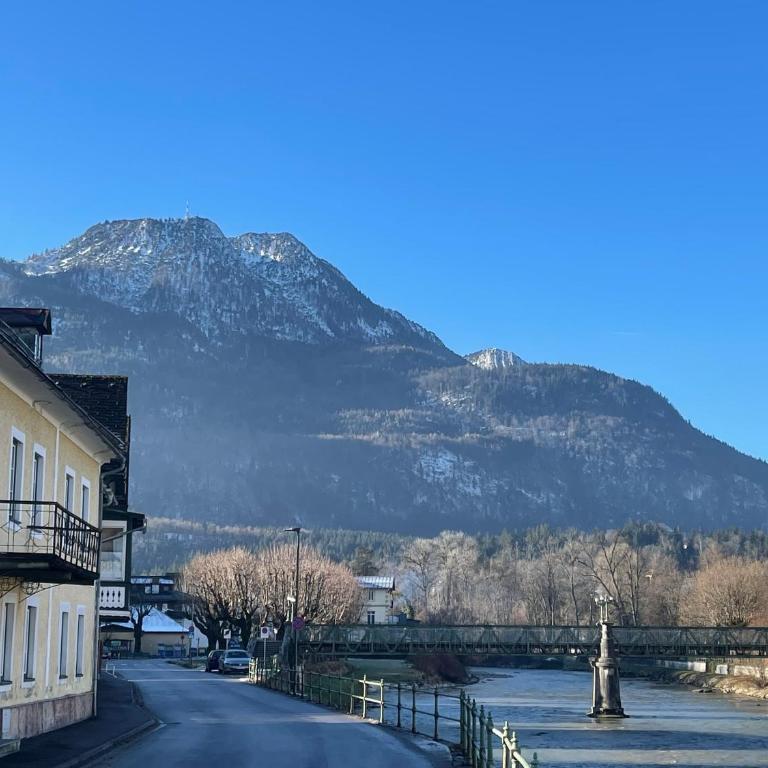 Apartment Traunkai Zauner Blick - Apartment mit 1 Schlafzimmer - 11