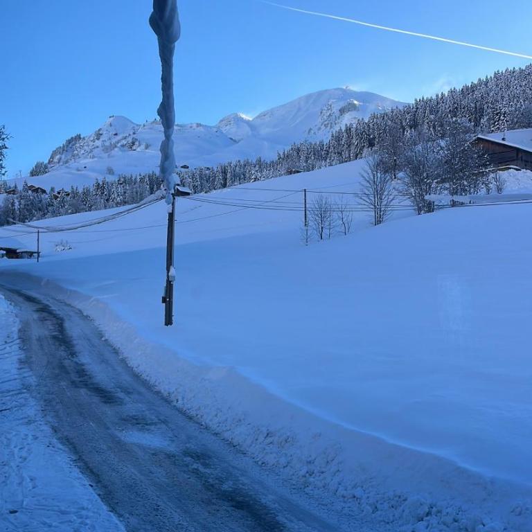 CHARMIEUX appartement en chalet typique - Three-Bedroom Apartment - 8