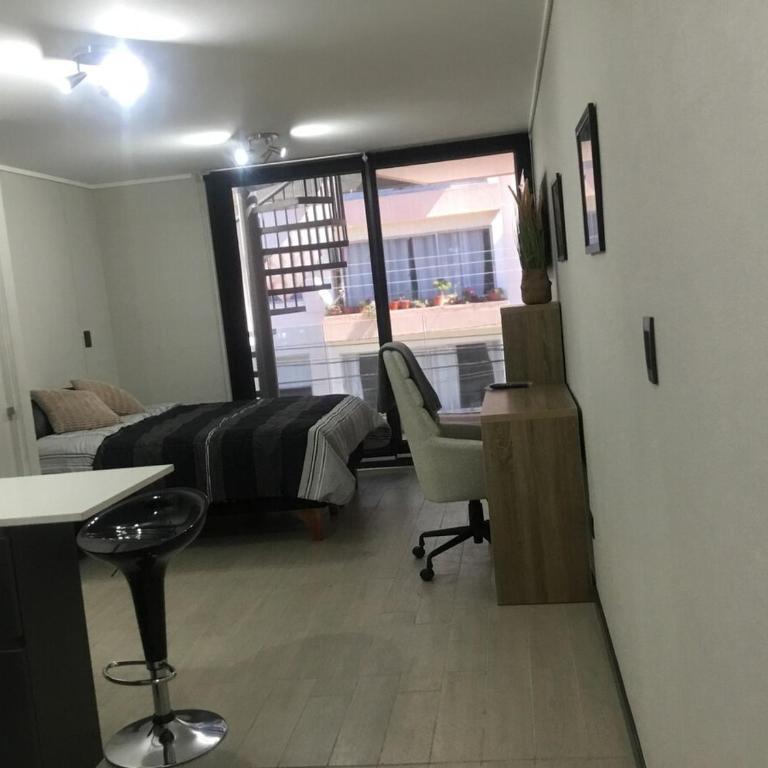 New Studio Apartment and Quincho - One-Bedroom Apartment - 4