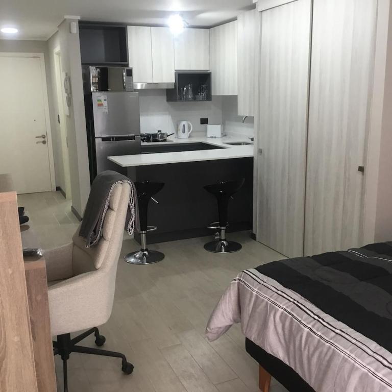 New Studio Apartment and Quincho - One-Bedroom Apartment - 5
