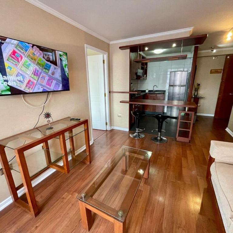 Spectacular! Downtown Santiago with parking - One-Bedroom Apartment - 28