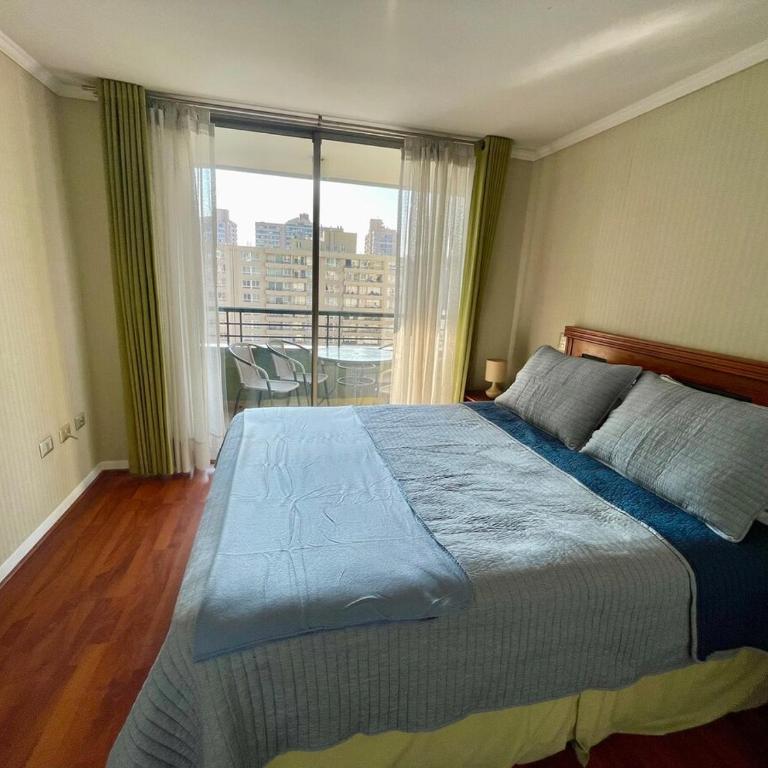 Spectacular! Downtown Santiago with parking - One-Bedroom Apartment - 37