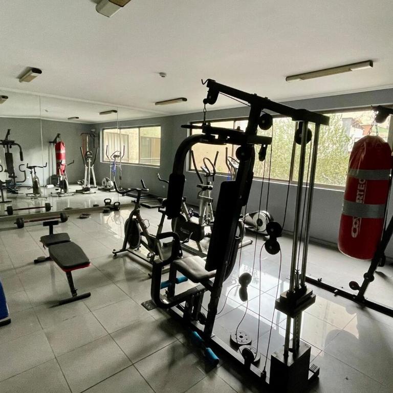 Spectacular! Downtown Santiago with parking - One-Bedroom Apartment - 49