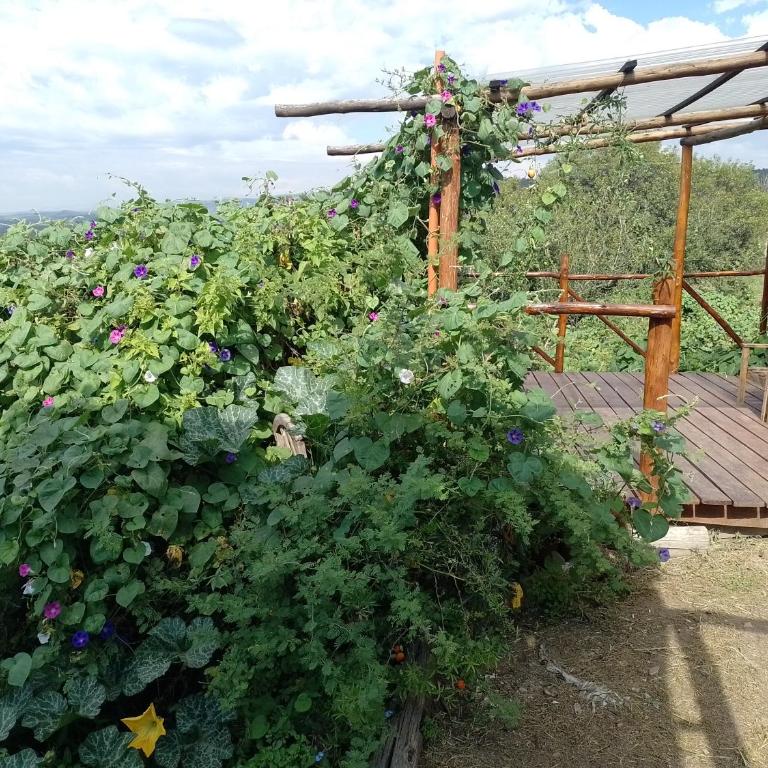 Casa Sierras Tanti Cabalango Carlos Paz - Casa de 2 dormitorios - 17