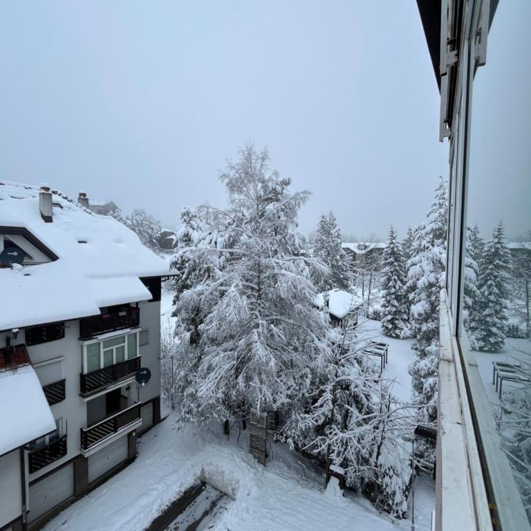 Apartman Veličković - Apartman sa 1 Spavaćom Sobom - 20