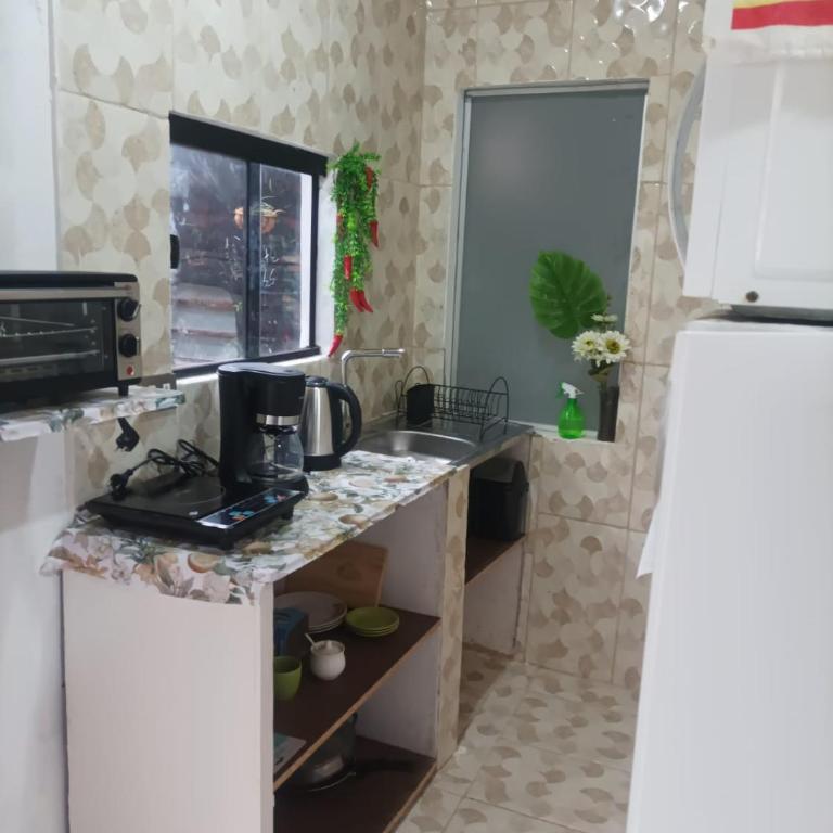 Miraflores 1- The greenhouse - One-Bedroom Apartment - 2