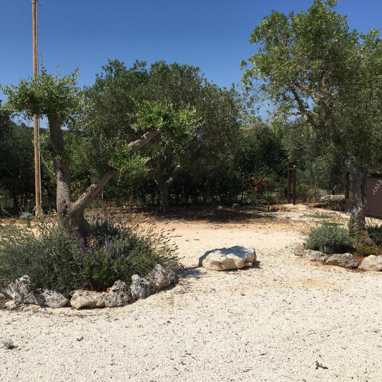 Villa Trullo Cristi - Casa Vacanze - 18