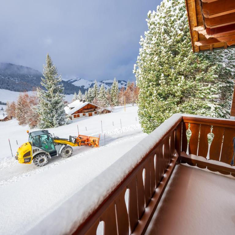 Domaine exceptionnel avec 5 Suites - Superior Chalet - 29