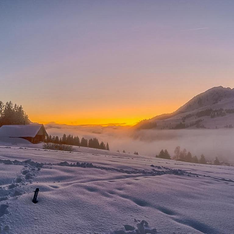 Domaine exceptionnel avec 5 Suites - Superior Chalet - 46