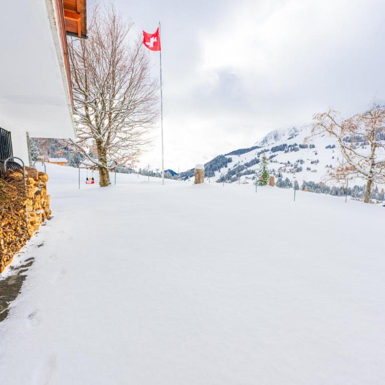 Domaine exceptionnel avec 5 Suites - Superior Chalet - 67