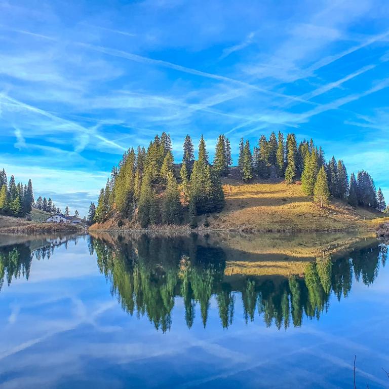 Domaine exceptionnel avec 5 Suites - Superior Chalet - 79