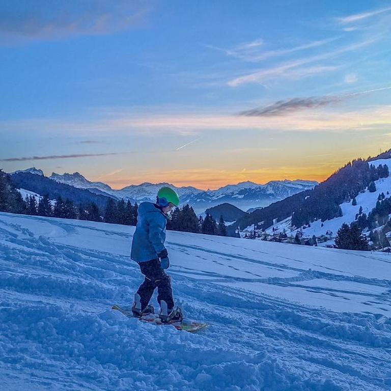 Domaine exceptionnel avec 5 Suites - Superior Chalet - 93