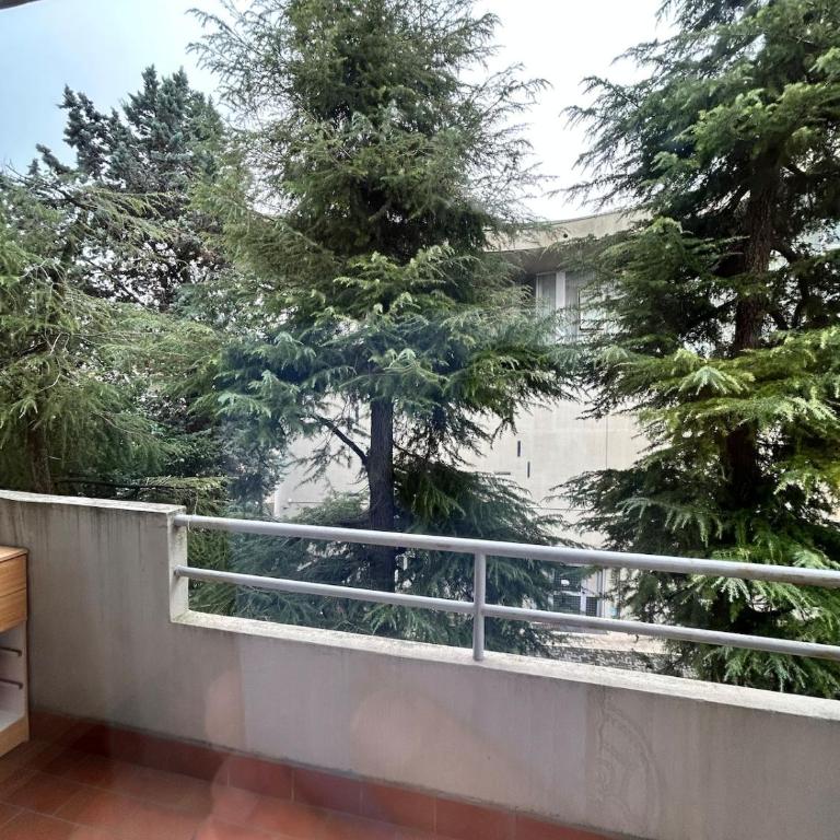 Number 3 APT, easy for Venice - Three-Bedroom Apartment - 17