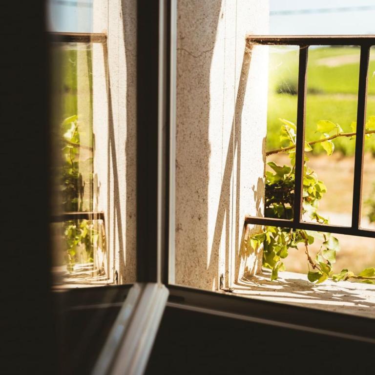 Le jardin des vignes - Casa con 3 Camere da Letto - 10