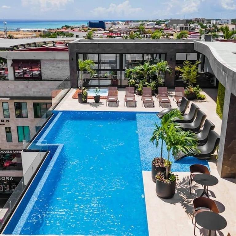 Playa Retreat with Pool, near 5th Avenue & beach - Apartment - 6