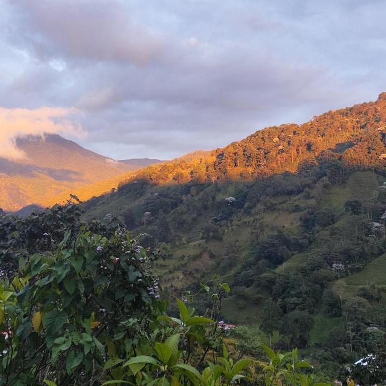 Ecocabaña Con Maloca cerca a Pijao Quindío - Chalet de 1 dormitorio - 7